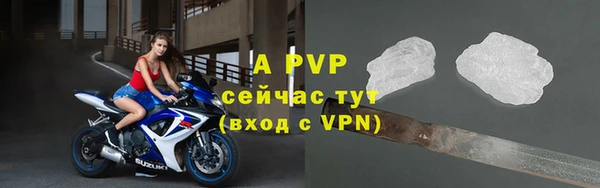 амф Зерноград