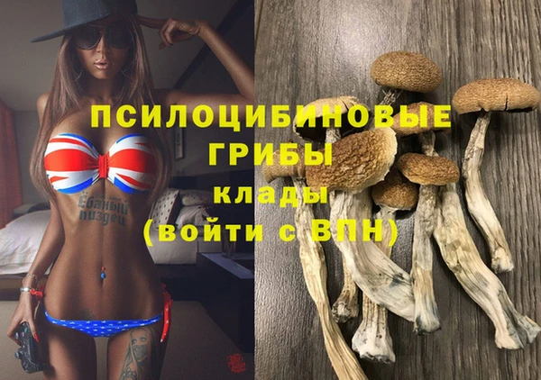 амф Зерноград