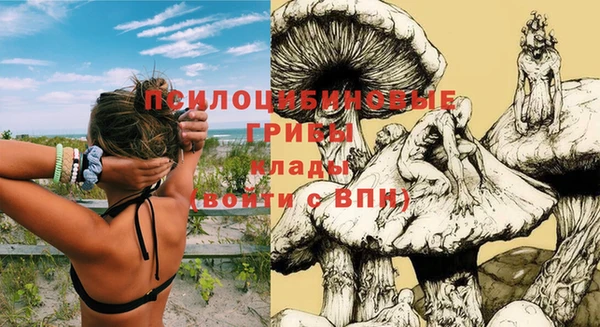 мет Зеленодольск